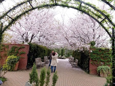DSCF8434_R