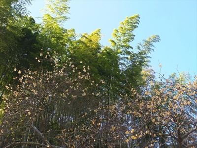DSCF1087_R