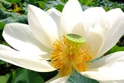 DSCF6098_R