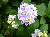 DSCF2209_R
