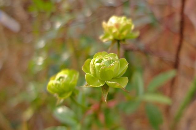 DSCF0420_R