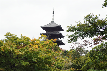 DSC09679_R