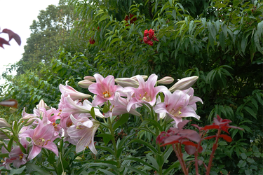DSC08321_R