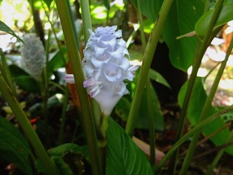 DSCF9245_R