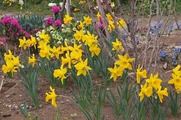 DSCF1823_R