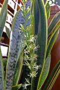DSCF5147_R