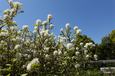 DSC06686_R