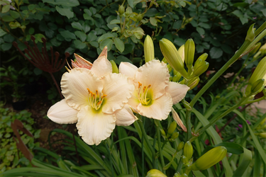 DSC08439_R