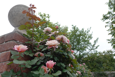 DSC06947_R