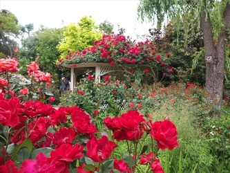 DSCF0158_R