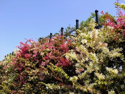 DSCF7824_R