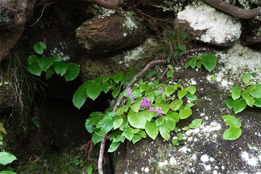 DSC08649_R