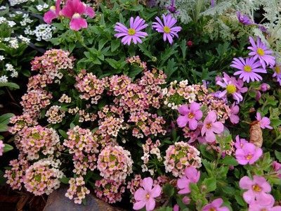 DSCF5180_R