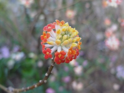 DSCF4711_R