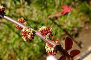 DSCF2033_R