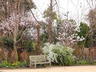 DSCF1440_R