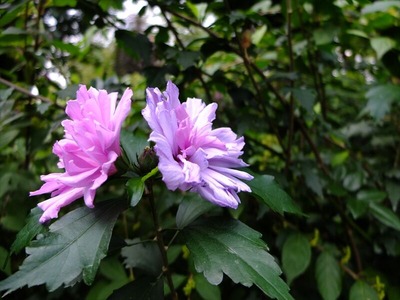 DSCF5092_R
