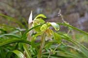 DSCF1579_R