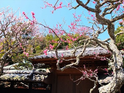 DSCF1057_R
