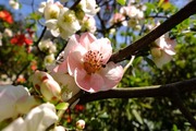 DSCF0516_R