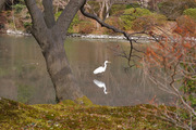 DSCF9467_R