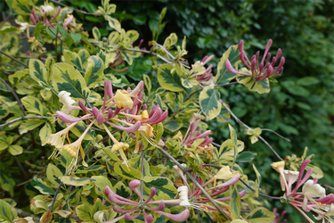 DSC06966_R