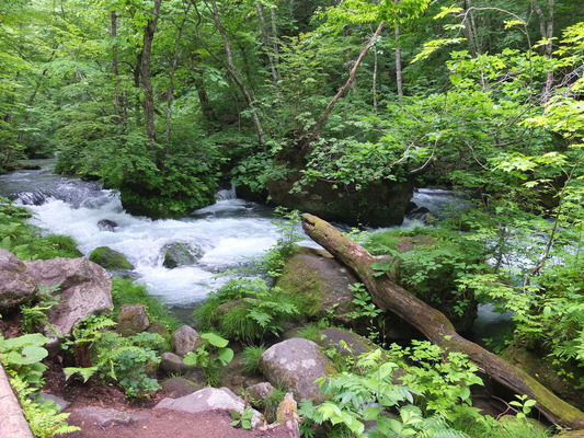 DSCF0746