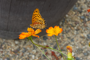 DSC09901_R