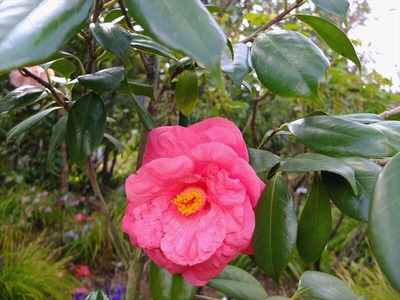 DSCF1582_R