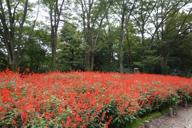DSC09883_R