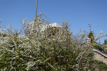 DSC00560_R
