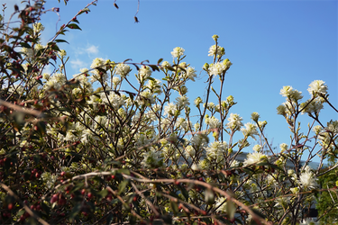 DSC06454_R