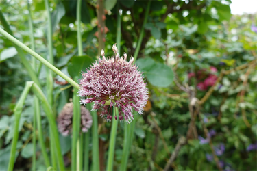 DSC08196_R