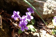 DSCF0528_R