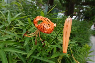 DSC07376_R
