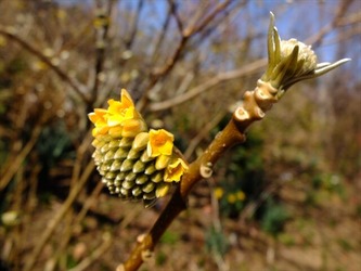 DSCF8250_R