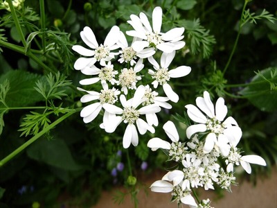 DSCF2543_R