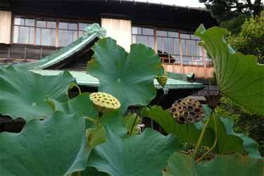 DSC09196_R