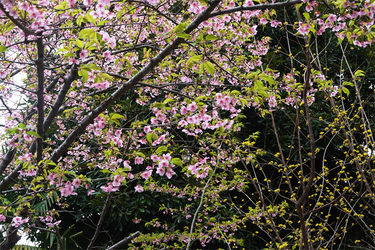 DSC05701_R