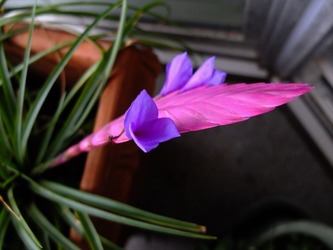 DSCF1810_R
