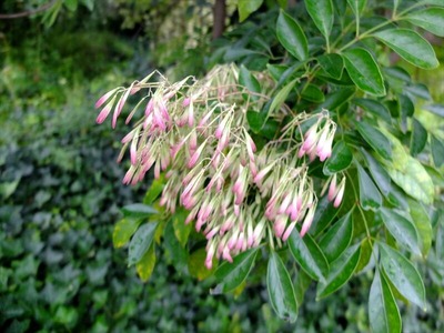 DSCF4907_R
