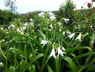DSCF1257_R