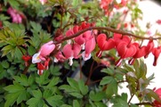 DSCF0674_R