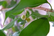DSCF6872_R