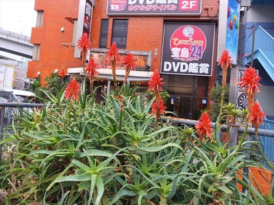 DSCF0845_R