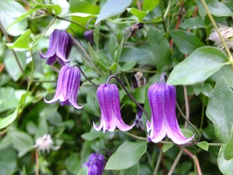 DSCF1278_R