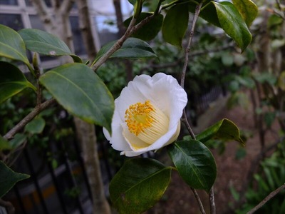 DSCF1222_R