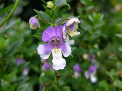DSCF7418_R