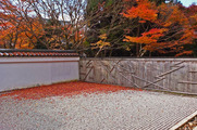 S0998225_R