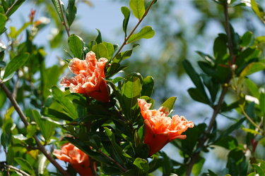 DSC01208_R